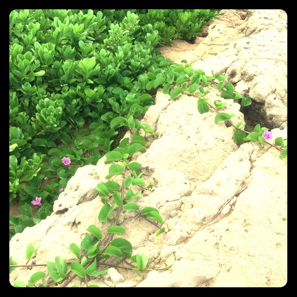 Meet your Posher, Jennifer - Picture 1 of 1